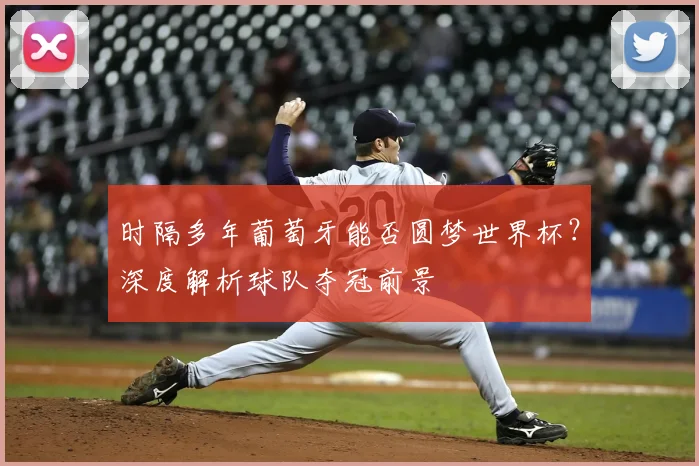 时隔多年葡萄牙能否圆梦世界杯？深度解析球队夺冠前景